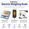 Electric Weighing Scale