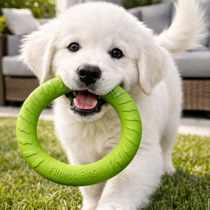 White puppy playing with a green toy ring on grass