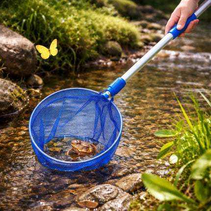 Person using a blue net to catch a frog in a stream with a yellow butterfly nearby.