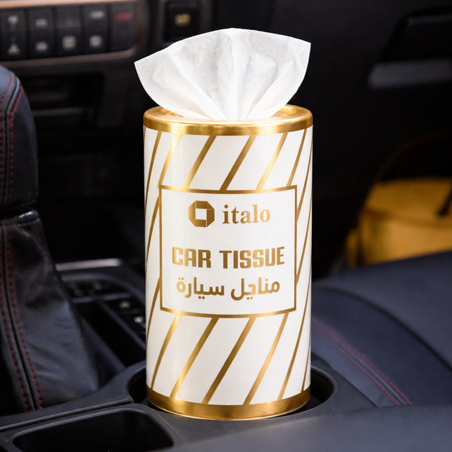 Car tissue holder with tissues inside, placed in a car cup holder.