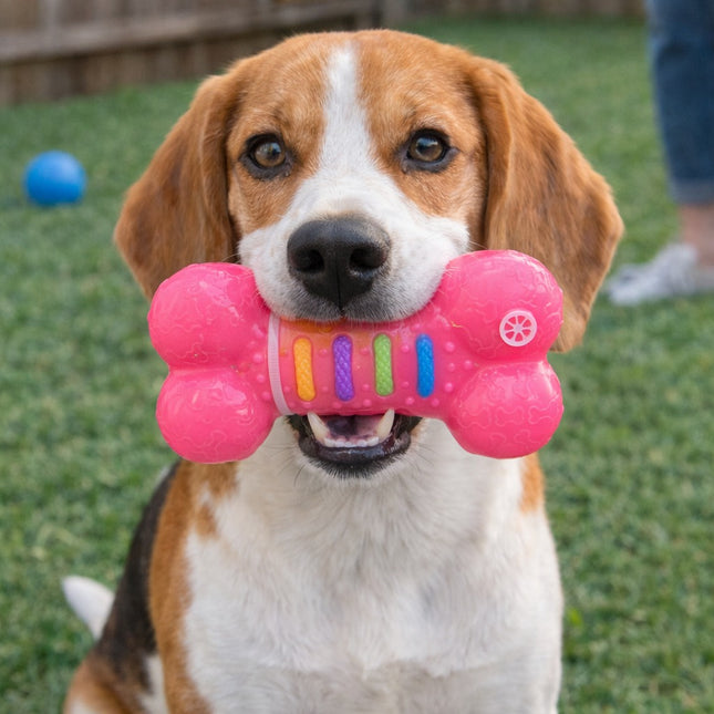 Benefits of using Italo Pet Chew Toy Bone