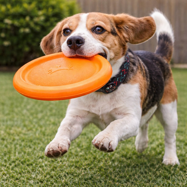 Dog running with an orange frisbee in its mouth on a grassy field