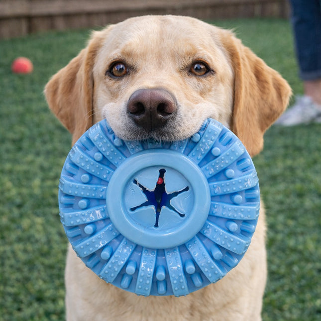 Dog holding a blue rubber toy with a paw print design in its mouth on grass.