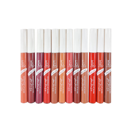 Lora 12pcs Lip Gloss Set