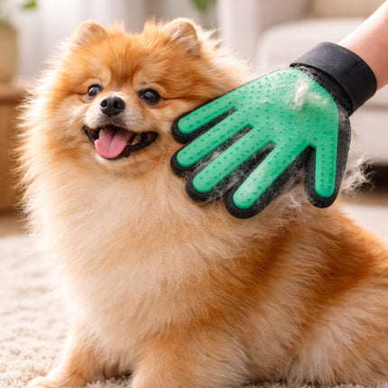 Dog being groomed with a green grooming glove held by a person.