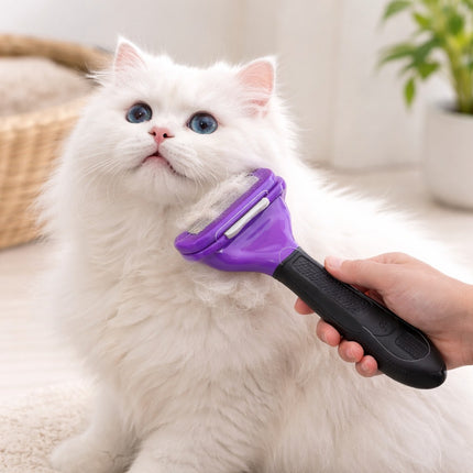 White cat being groomed with a purple grooming brush held by a hand.