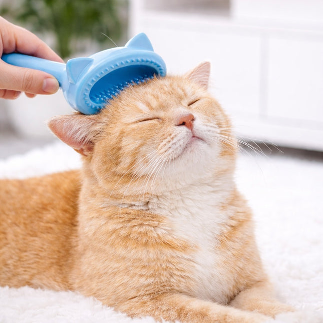 Cat being groomed with a blue brush on a white surface