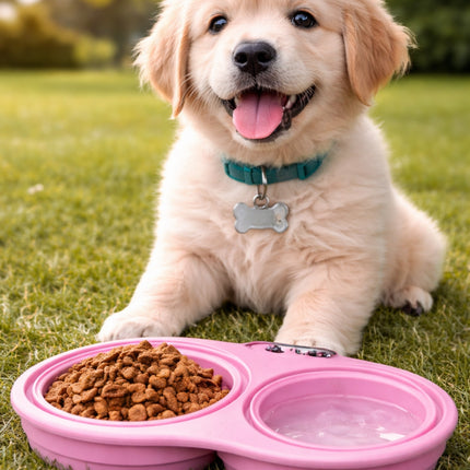 Puppy with a pink food and water bowl on grass