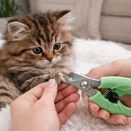 Person trimming a kitten's nails with green nail clippers on a white blanket.
