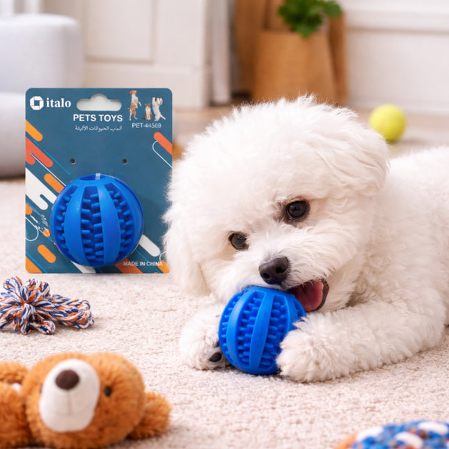 White dog playing with a blue pet toy, with its packaging visible in the background.