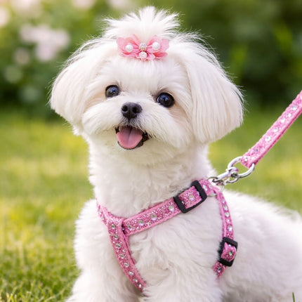 Pets Harness and Lead - 44502