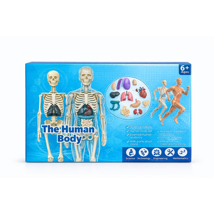 Human Body Learning Kit for Kids -MB012-2
