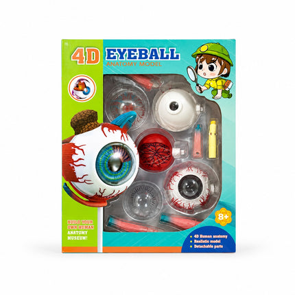4D Eyeball Anatomy Model Educational Science Kit - Ages 8+ -MB012-3