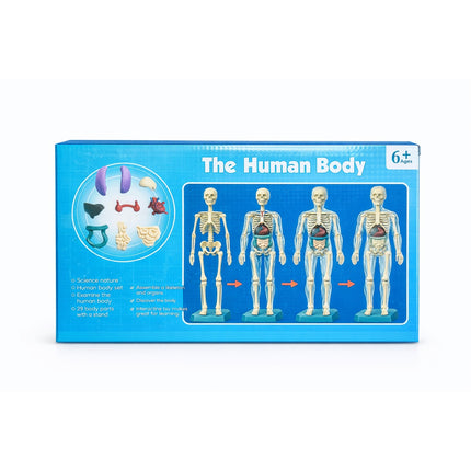 Human Body Learning Kit for Kids -MB012-2