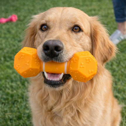 Italo Pet Chew Toy Dumbbell -PET-44565