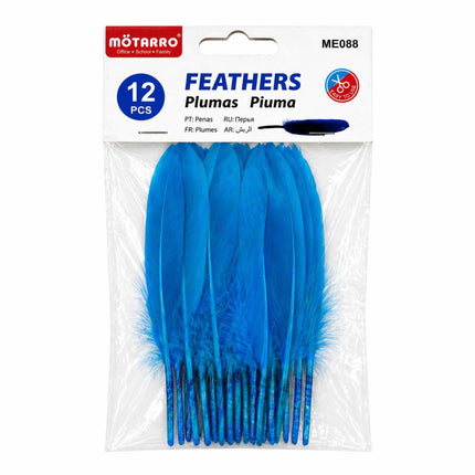 Decorative Feathers Pack (12 pcs) -ME088