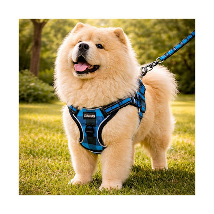 Flexi Walk Pet Harness Set- PET -44573