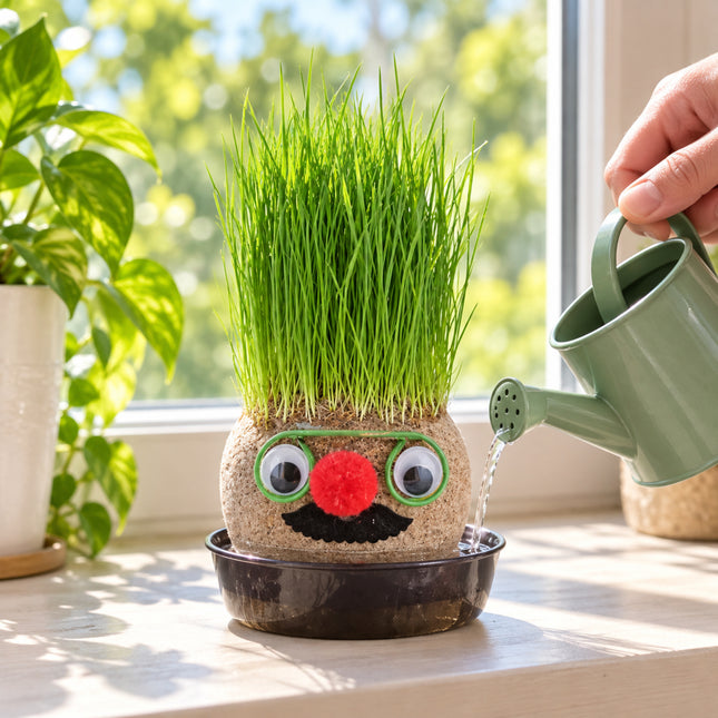 Growing Grass Head: Grow for Small-Time Indoor Plants